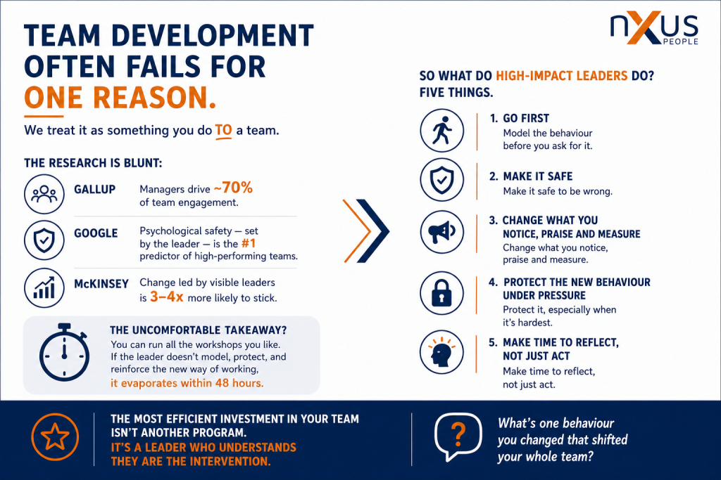 Team Development